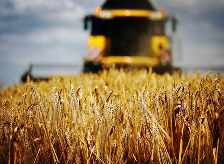 澳大麥豐收，銷路卻成了問題，印度有意接盤卻引來農(nóng)民不滿【潤康】磨煤機(jī)磨輥對此看法?