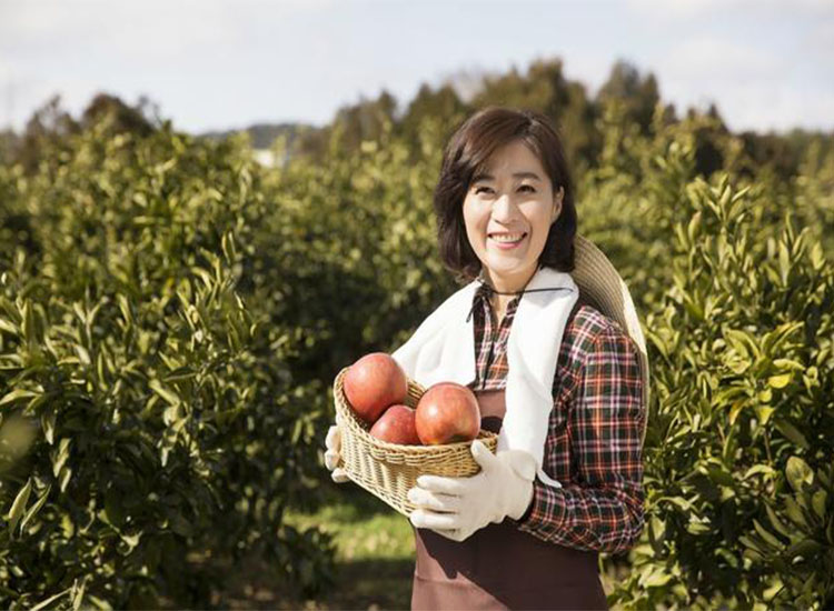 【潤康】磨煤機(jī)磨輥與您分享：互聯(lián)網(wǎng)巨頭紛紛賣菜，農(nóng)民會不會被“割韭菜”？